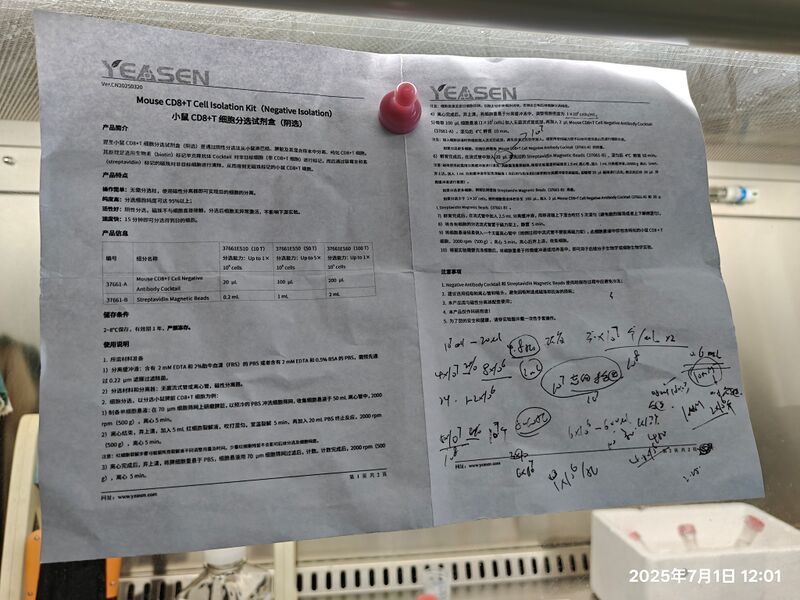 File:CD8+T细胞分选试剂盒说明书.jpg