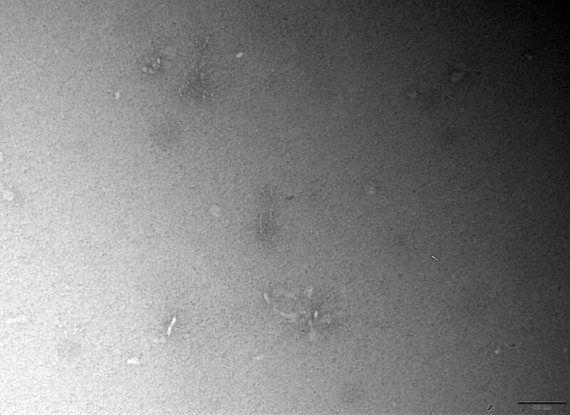 File:TEM Origami(NO).jpg